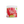 Pitstop+ Rise & Shine nootropic and hydration drink in Watermelon Refresher, 30 servings 210g tub with red and green sunburst label
