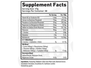 TWP Nutrition Endure EAA